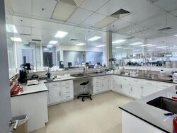 New Tech Park (D19), Factory #481520641